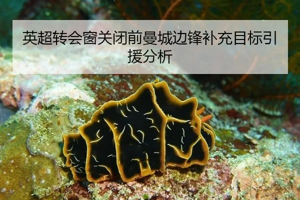 ying-chao-zhuan-hui-chuang-guan-bi-qian-man-cheng-bian-feng-bu-chong-mu-biao-yin-yuan-fen-xi-2-687.jpg