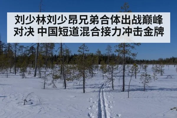 刘少林刘少昂兄弟合体出战巅峰对决 中国短道混合接力冲击金牌